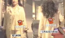 张兰爆料光头哥视频大全,揭秘光头哥神秘面纱