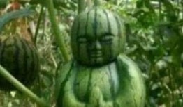 获嘉吃瓜最新事件爆料是真的吗,最新爆料真相揭秘