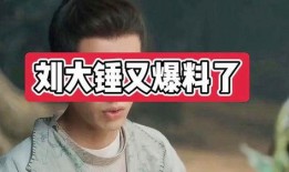 刘大锤最新爆料是什么,揭秘娱乐圈惊人内幕