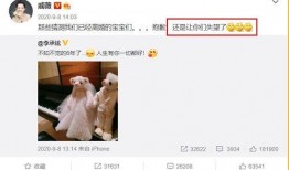 网友爆料离婚是真的吗视频,离婚视频真相揭秘