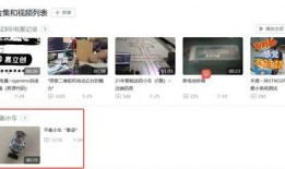 食盐质检员爆料视频大全,揭秘食盐质检背后的真相与挑战