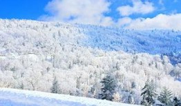 林海雪原在线观看