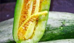 网红吃瓜版,揭秘娱乐圈幕后真相，带你领略明星们的真实生活