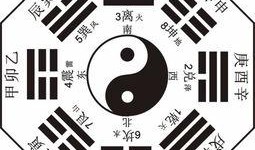 八卦爆料玩法介绍视频大全,揭秘八卦玩法介绍视频大全