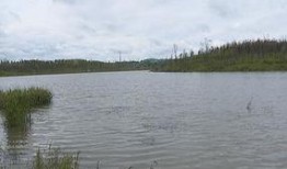 河畔网友爆料视频,一场令人震惊的事件现场