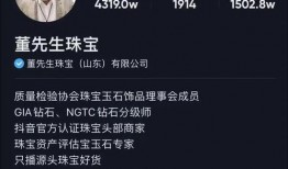 董先生真实爆料视频大全,揭秘真实事件背后的真相