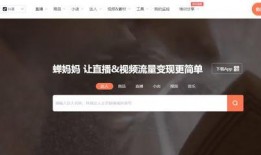 爆料短视频 创作者是谁,揭秘爆料创作者身份之谜