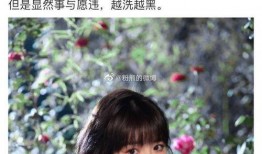 娱乐圈自由吃瓜基地,揭秘明星幕后故事与热点事件