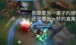 赵信女友爆料视频大全,揭秘背后惊人真相