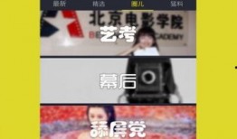 网红搞笑爆料视频下载免费,笑料百出，揭秘娱乐圈幕后趣闻