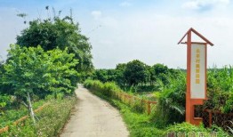 美丽田园爆料视频,探寻田园风光背后的故事