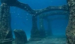 海底王宫爆料视频大全,独家爆料视频大全深度解析