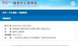 怎么发文字爆料新闻呢,文字爆料攻略全解析