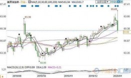 美伊最新局势爆料,紧张升级，中东风云再起