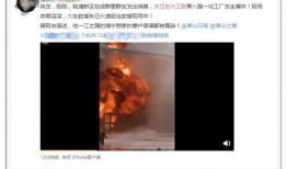 爆料金瀚深扒视频下载,爆料背后的真相与内幕