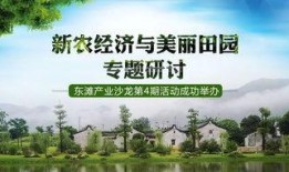 美丽田园爆料视频,探寻田园风光背后的故事