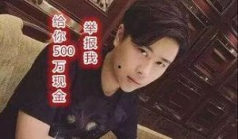 梦楠黑哥爆料视频,幕后真相大起底