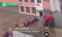 泰安爆料视频,一窥事件背后真相