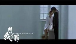 判我有罪在线观看,揭秘法庭背后的真相与悬念