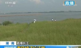 华龙电视直播在线观看,畅享实时精彩，尽在指尖