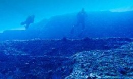 海底王宫爆料视频大全,独家爆料视频大全深度解析