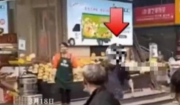 城管视频爆料大全下载,揭秘城市管理与民生问题的真实面貌