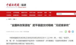 农村媒体爆料案例大全最新,揭示乡村社会现象与问题
