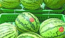 武汉免费吃瓜,免费吃瓜活动来袭，清凉一夏共享欢乐