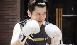 达摩和王霖爆料视频全集,揭秘背后真相与惊人内幕