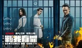 判我有罪在线观看,揭秘法庭背后的真相与悬念