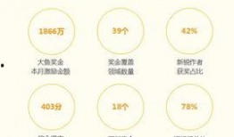 爆料发视频赚丰厚的奖金,爆料视频如何赚取丰厚奖金