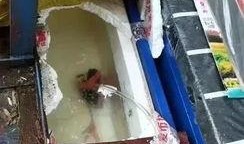 郑州甘蔗爆料事件真相视频