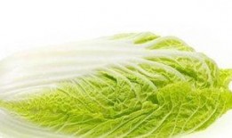 娱乐大爆料大白菜视频,大白菜视频揭秘幕后真相