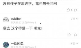 网友爆料男子视频播放大全,男子视频播放大全引发热议，揭秘背后真相