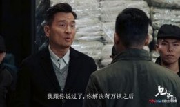 兄弟在线观看,一场跨越时空的观影之旅