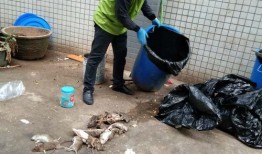 娱乐吃瓜酱灭鼠,揭秘灭鼠背后的趣味故事