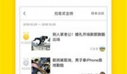 梨视频官网爆料,揭秘梨视频最新动态与幕后故事