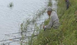 河畔网友爆料视频,一场令人震惊的事件现场