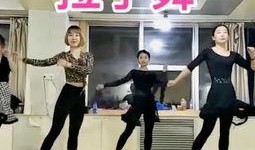 舞蹈老师视频爆料大全最新,精彩瞬间与幕后故事一网打尽