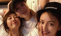 狗仔爆料最新动态图表,最新动态图表揭秘娱乐圈风云变幻