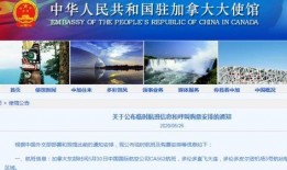 深圳电视爆料新闻平台,聚焦城市热点，揭示社会现象