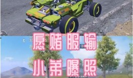 和平精英最新车爆料,神秘战车助力战场新格局