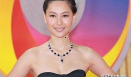 娱乐圈爆料徐子珊,揭秘明星背后的故事