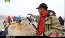 黑坑江湖爆料视频大全,揭秘视频大全背后的精彩故事