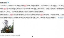 广西崇左网友爆料案件视频,惊曝重大案件视频引发关注