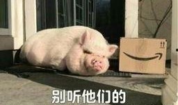 娱乐吃瓜酱猪猪视频下载,揭秘热门娱乐内容获取新方式