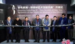 韩美林最新爆料新闻,揭秘艺术界不为人知的背后故事