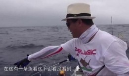 大钓哥在线观看,揭秘钓鱼高手的生活与技巧