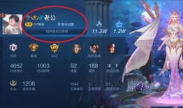 王者爆料花姐视频,花姐视频揭秘游戏新动态