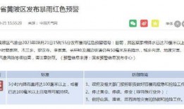 武汉新闻投稿爆料怎么投,揭秘城市热点事件背后的真相